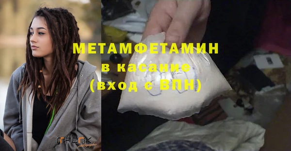 индика Михайловск