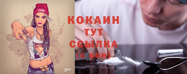винт Пыталово