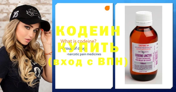 индика Михайловск