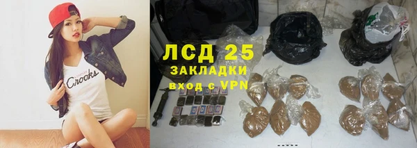 шишки Гусиноозёрск