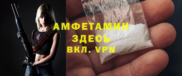 шишки Гусиноозёрск