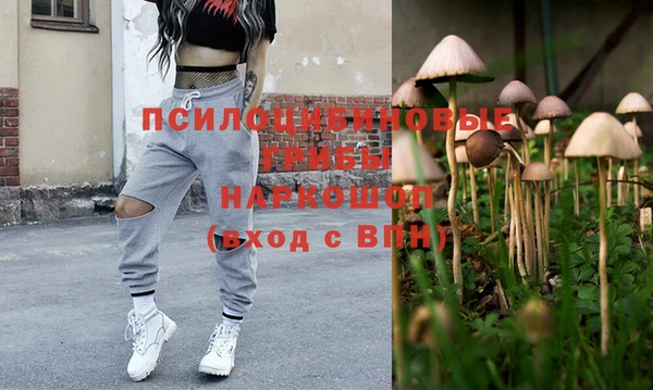 шишки Гусиноозёрск