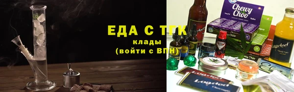 индика Михайловск