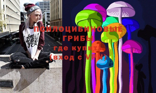 не бодяженный Михайлов