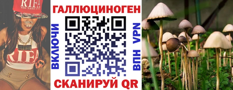 сайты даркнета официальный сайт  кракен как зайти  Псилоцибиновые грибы Cubensis  Шадринск  что такое наркотик 