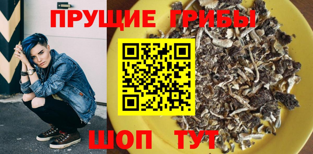 Псилоцибиновые грибы мицелий  Вход с VPN  Шадринск 