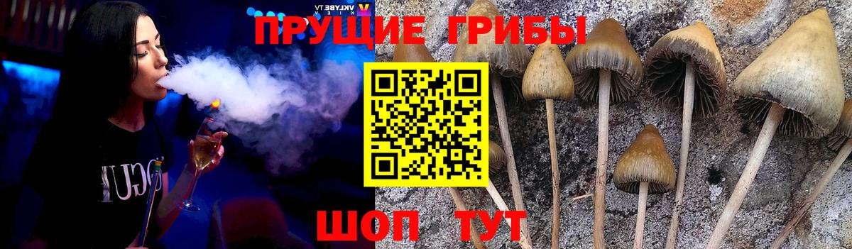 Галлюциногенные грибы MAGIC MUSHROOMS  Шадринск 