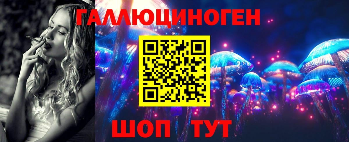 Каннабис  Шадринск  Кокаин  Гашиш  Мефедрон   Героин  Вход с VPN  ГАШ 