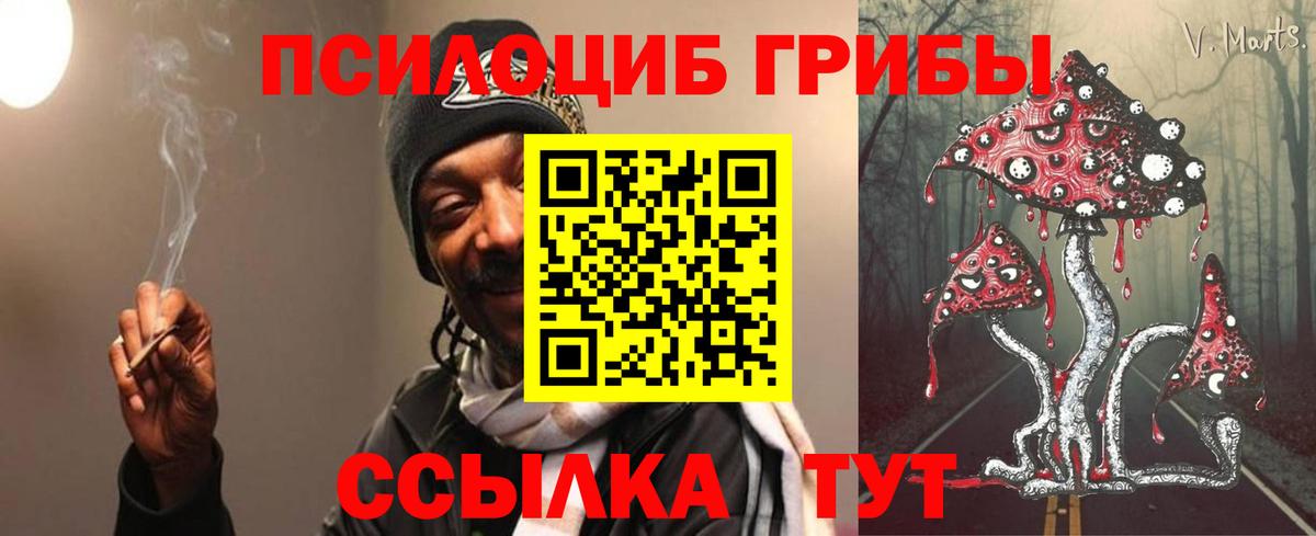 Псилоцибиновые грибы Psilocybine cubensis Шадринск