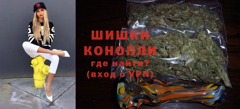 Бошки Шишки THC 21%  купить закладку  Шадринск 